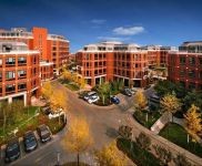 (出售) 出售獨棟研發樓，緊鄰新國展 首都機場 政策補貼 價格面議