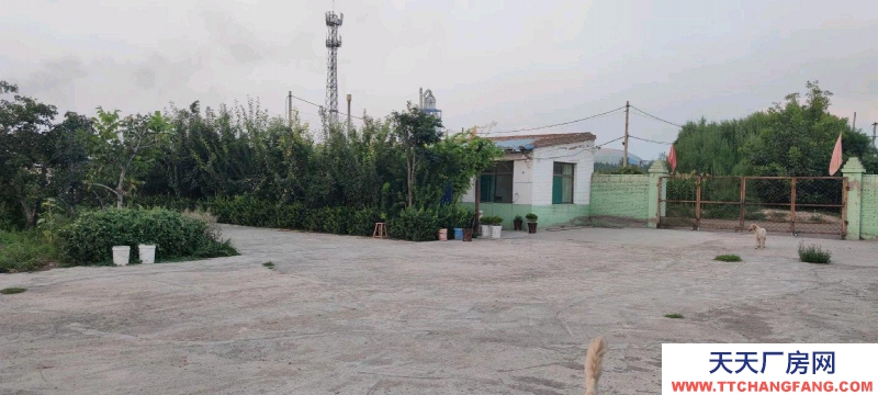 (出租) 整租，果園，超大場(chǎng)地，價(jià)格適合水電齊全