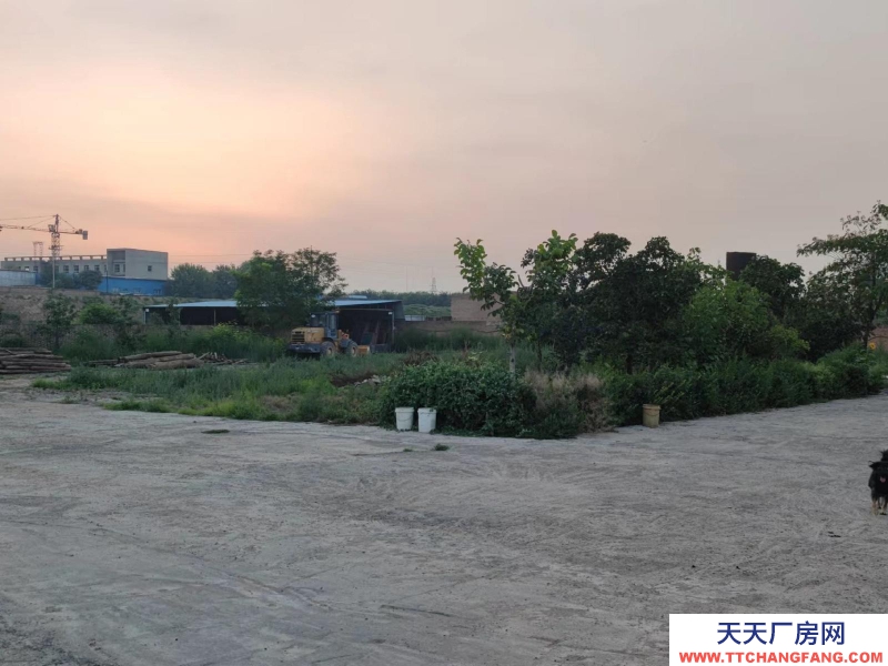 (出租) 整租，果園，超大場(chǎng)地，價(jià)格適合水電齊全