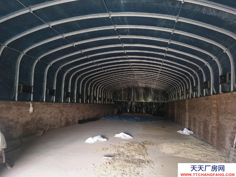 (出租) 本場地建有大棚，可做養殖，可做有機蔬菜種植，可做廠房