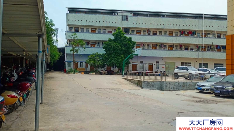 (出租) 玉林容縣開發區大型標準廠房