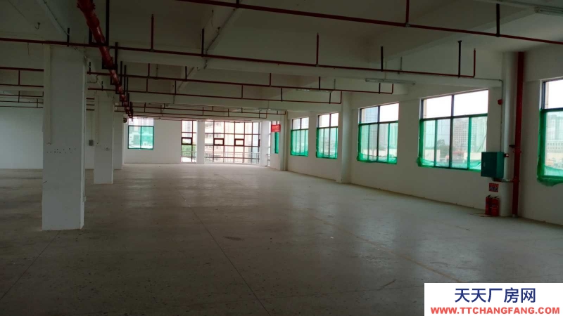 (出租) 玉林容縣開發區大型標準廠房