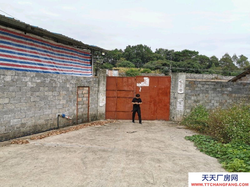 (出租) 玉林興業倉庫，廠房，農家樂，中藥加工廠。