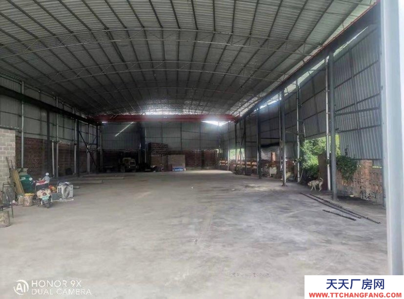 (出租)玉林興業 800方有行吊廠房招租，有辦公室，興業站附近，正對324國道