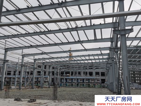 岳陽市岳陽樓區 岳陽大道 獨棟單層輕鋼 層高10米 首付3成起