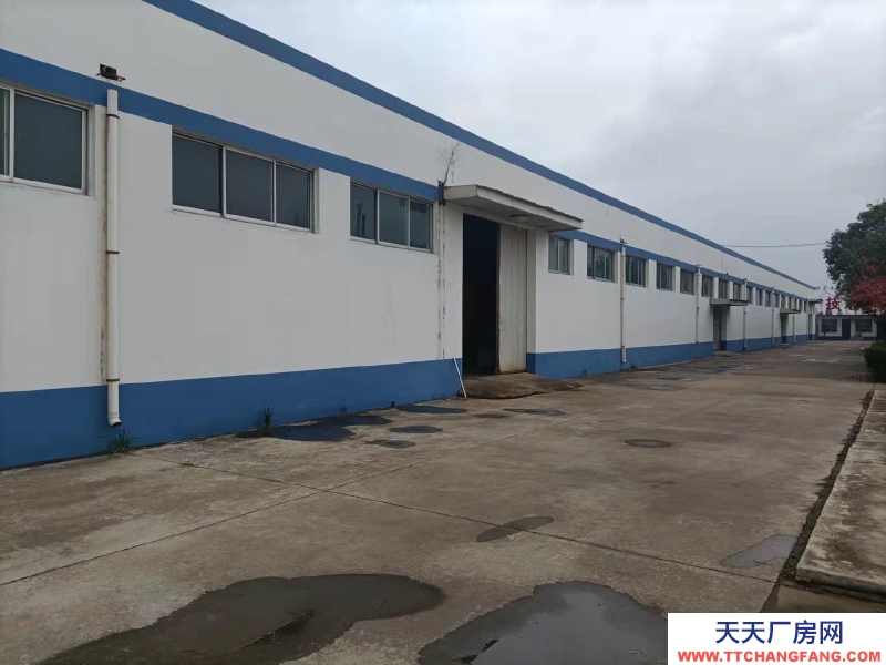 日照出租出售東港城西廠房