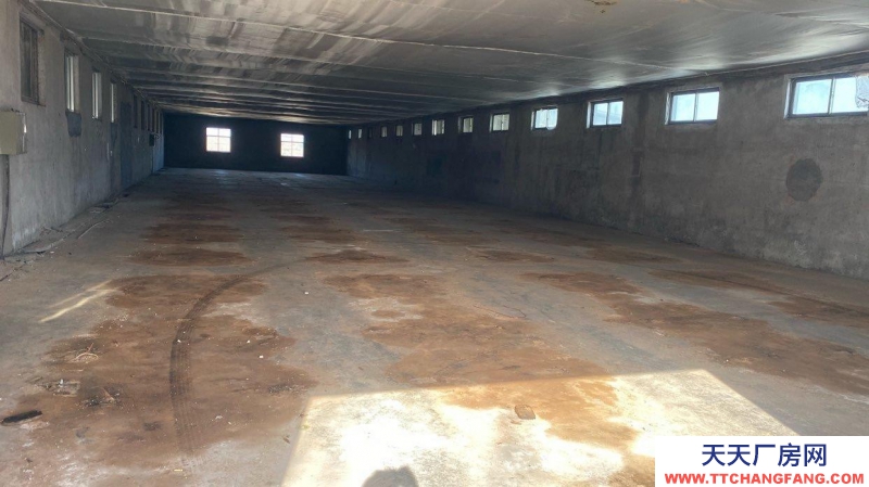 日照五蓮交通便利，價格便宜，有意者可電話詳談