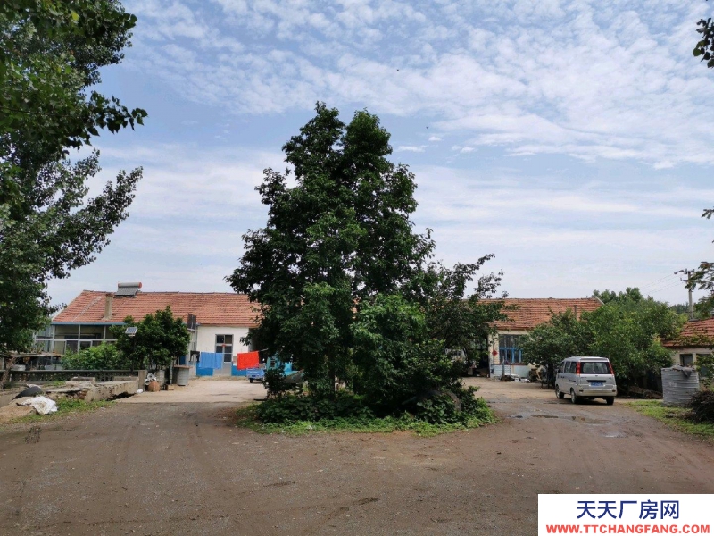 日照五蓮縣206國(guó)道北側(cè)2400平方米廠房出售