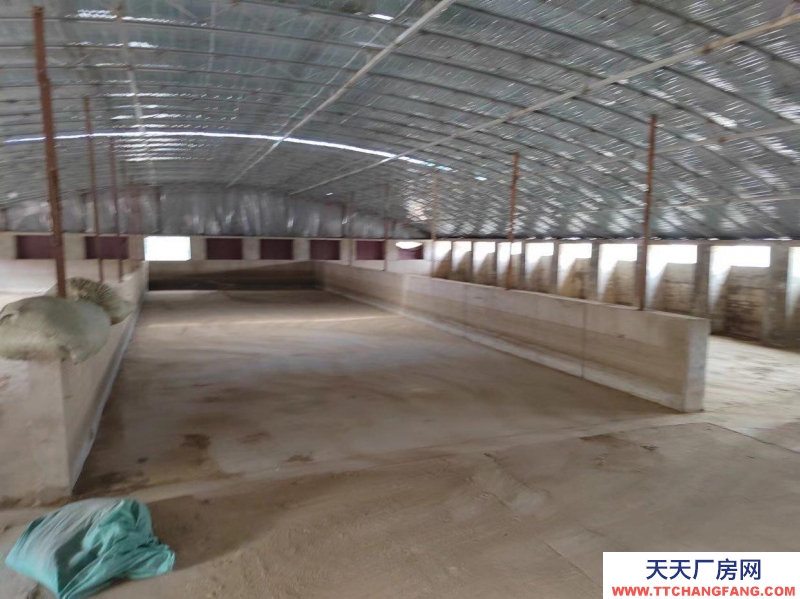 日照莒縣長(zhǎng)嶺鎮(zhèn)高速路出入口東2公里