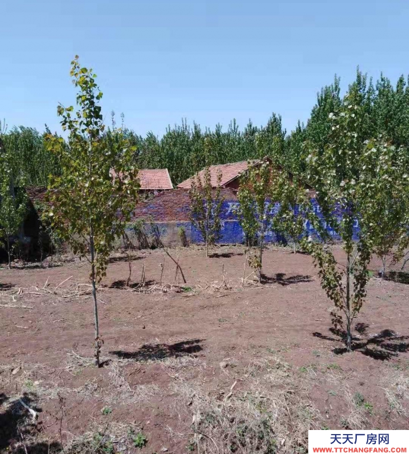 日照莒縣土地?廠房轉(zhuǎn)讓10萬(wàn)，有土地使用證