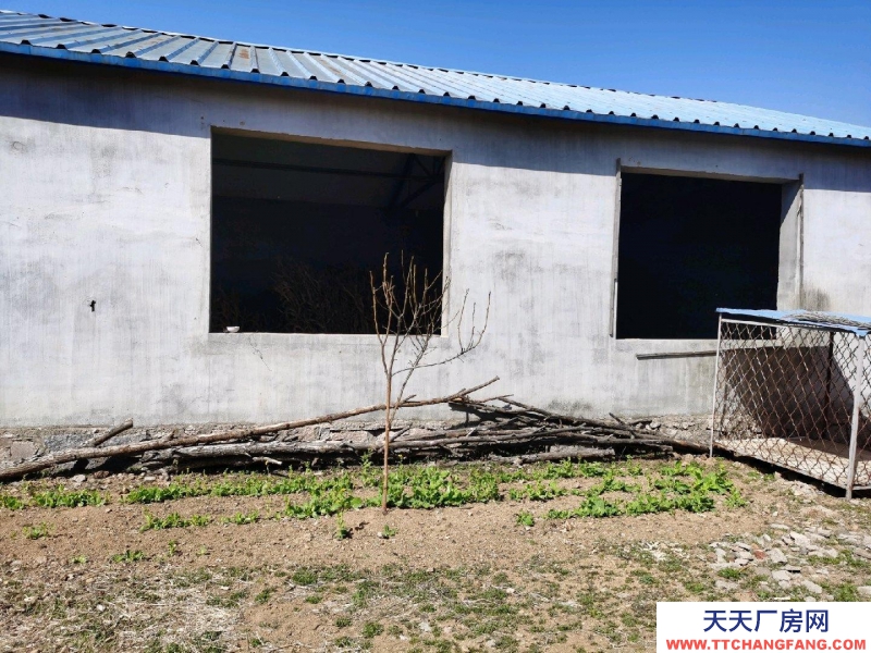 日照莒縣位置很好，環(huán)境優(yōu)雅，可改造為休閑度假民宿居住