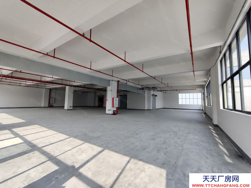 (出租) 佛山陳村新出標(biāo)準(zhǔn)樓層廠房出租丙二類消防帶噴淋空地大高臺(tái)卸貨好進(jìn)車