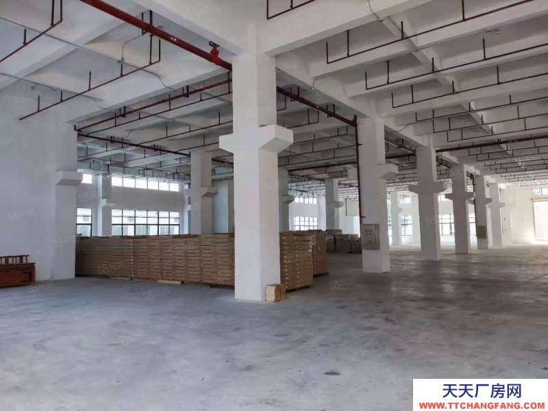 (出租) 佛山順德龍江家具廠空出廠房帶環評8把噴槍現成環保設備拎包入駐大小分租