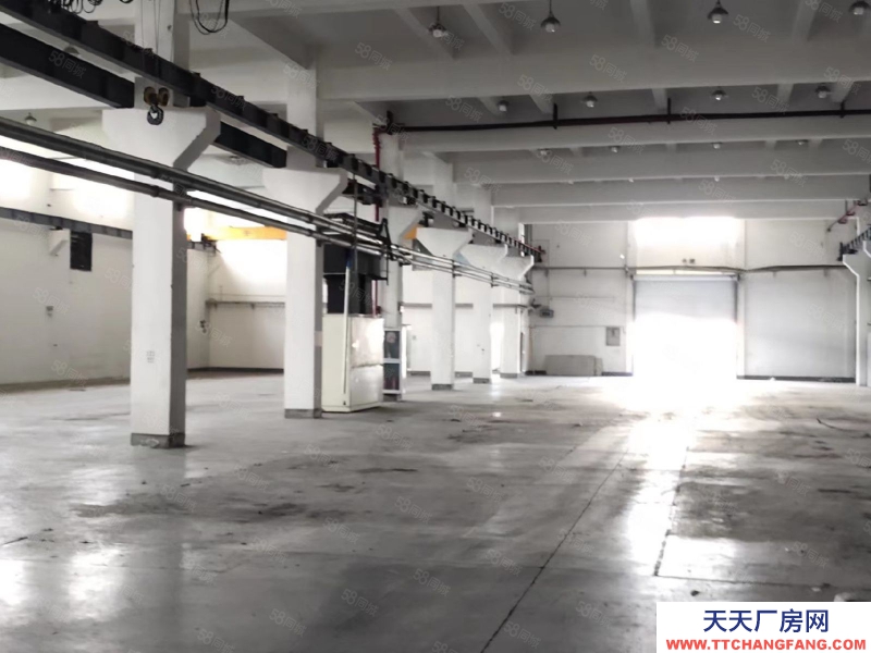 嘉興海寧(出租) 經編園區一二樓帶行車，高8米可以分租