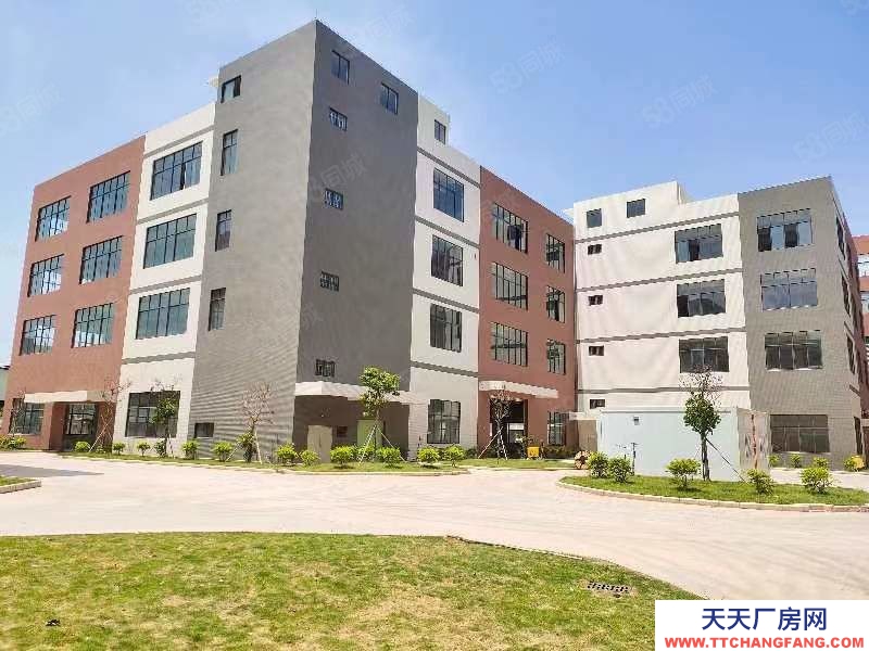 (出租) 佛山三水白泥新出全新獨門獨院標準樓房,帶消防噴淋紅本市政排污