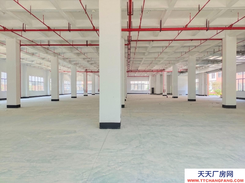 (出租) 佛山三水白泥新出全新獨(dú)門(mén)獨(dú)院標(biāo)準(zhǔn)樓房,帶消防噴淋紅本市政排污