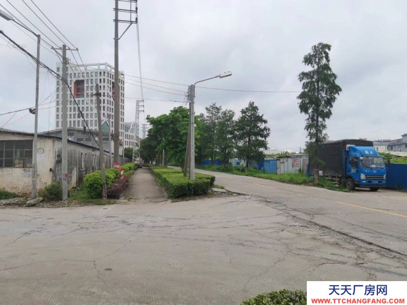 (出租) 佛山高明區小面積帶牛腿單一層可分租做五金家具機械門窗物流電子鋁材