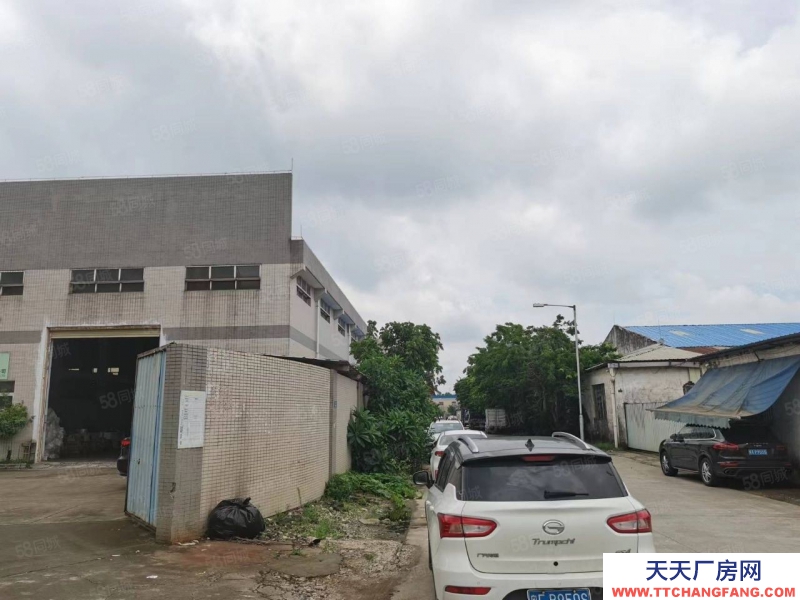 (出租) 佛山高明區(qū)小面積帶牛腿單一層可分租做五金家具機(jī)械門窗物流電子鋁材