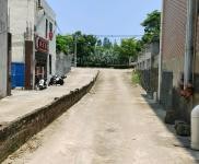 (出租) 出租長彤路300到600平方倉庫，300平辦公住宿。