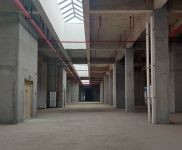 (出租) 秀英 南海大道 大型物流園招租 標準倉庫 有消防噴淋