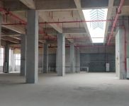 (出租) 秀英 南海大道 大型物流園招租 標準倉庫 有消防噴淋