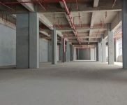 (出租) 秀英 南海大道 大型物流園招租 標準倉庫 有消防噴淋