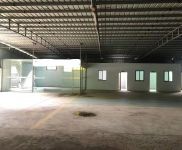 (出租) 江東新區800平簡易廠房 可進9.6米 價格便宜