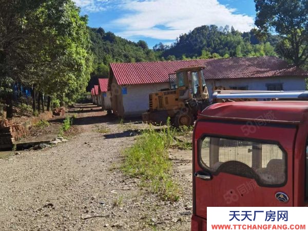 岳陽(yáng)市岳臨湘區(qū) 臨湘火車站S206省道旁房東自建獨(dú)院廠房倉(cāng)庫(kù)直接出租