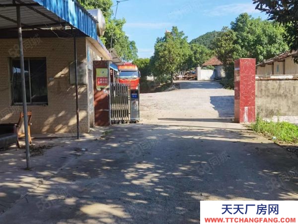 岳陽市岳臨湘區 臨湘火車站S206省道旁房東自建獨院廠房倉庫直接出租