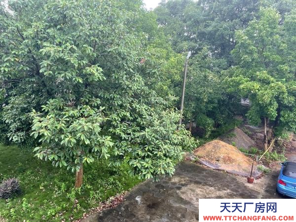 岳陽市岳華容區 超大停車場，湖南湖北交界處，高速路口十，便宜出租