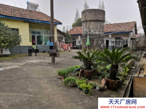 岳陽市岳華容區 廠房出租，適合門面、房產開發、腌制酸豆角、榨菜等