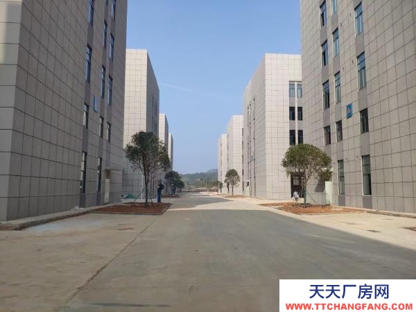 岳陽市岳華容區 可租可售｜華容縣政府建設的四層標準化廠房