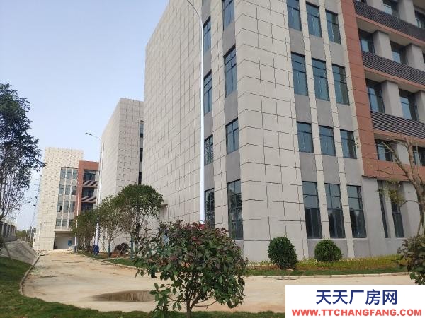 岳陽市岳華容區 華容高新區新建標準廠房出售（可租可售）