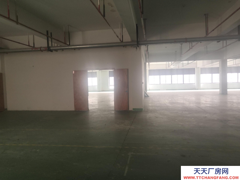 織里的廠房1374平方整層 有3個(gè)電梯使用 適合童裝生產(chǎn)加工