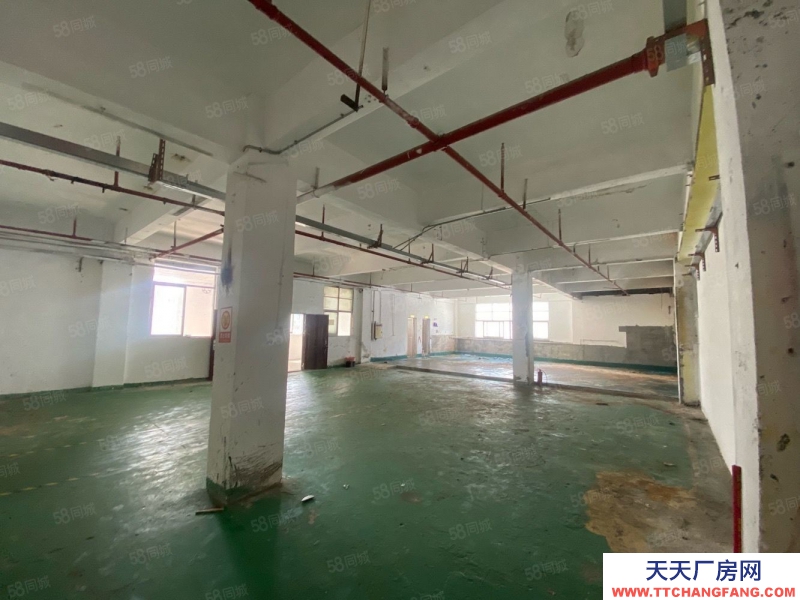 (出租) 深圳沙井衙邊村新出樓上463平米精裝修原房東.價格美麗