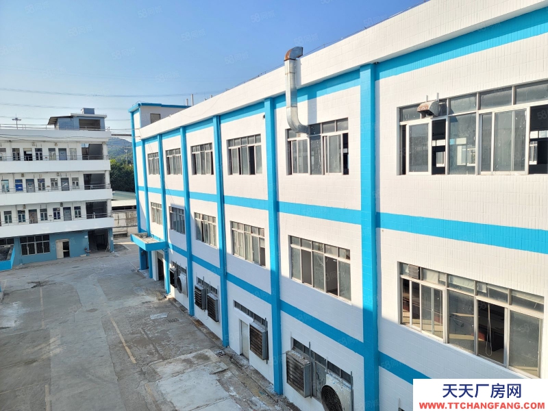 (出租) 深圳福永全新裝修1900平方倉庫廠房出租300平方起租低價原房東