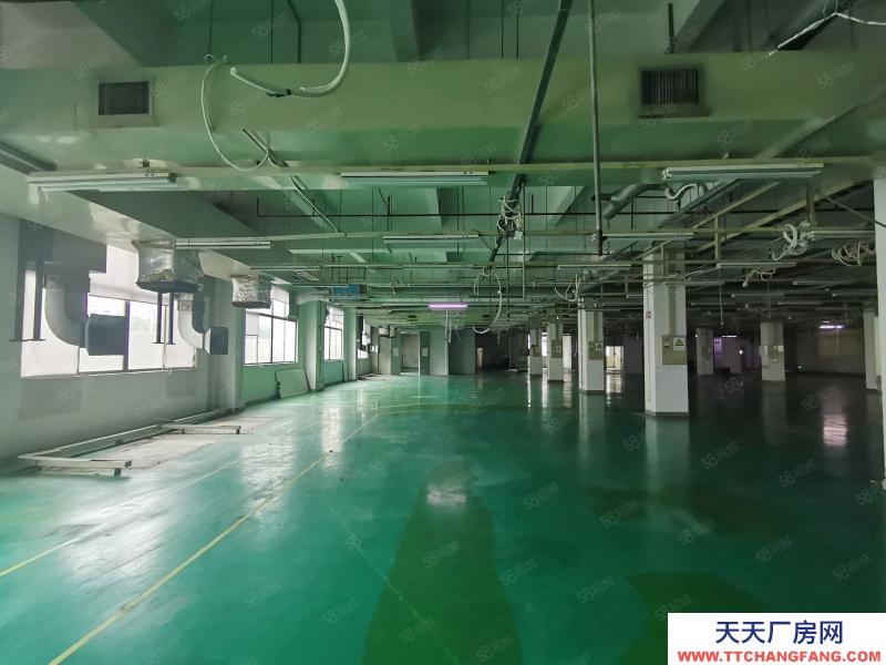 (出租) 深圳100平起租南山西麗陽光工業區1000平標準廠房出租倉庫招租