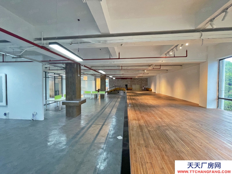 (出租) 深圳蛇口創意園 整層800平 帶精裝 行業不限