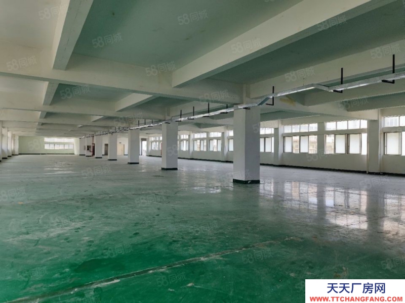 (出租) 深圳西麗獨棟9420平方可分租低價廠房出租帶卸貨平臺適合辦公研發