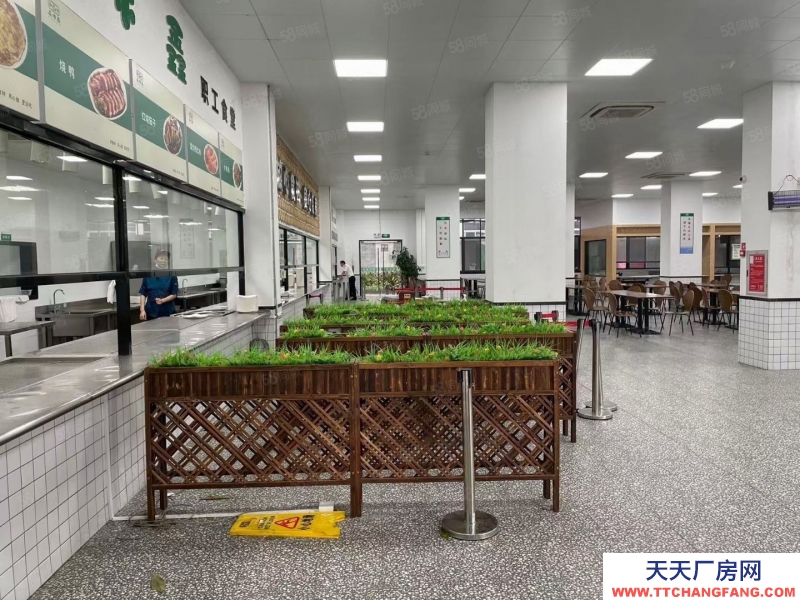 (出租) 深圳石巖高速出口獨門獨院廠房精裝修12000平米