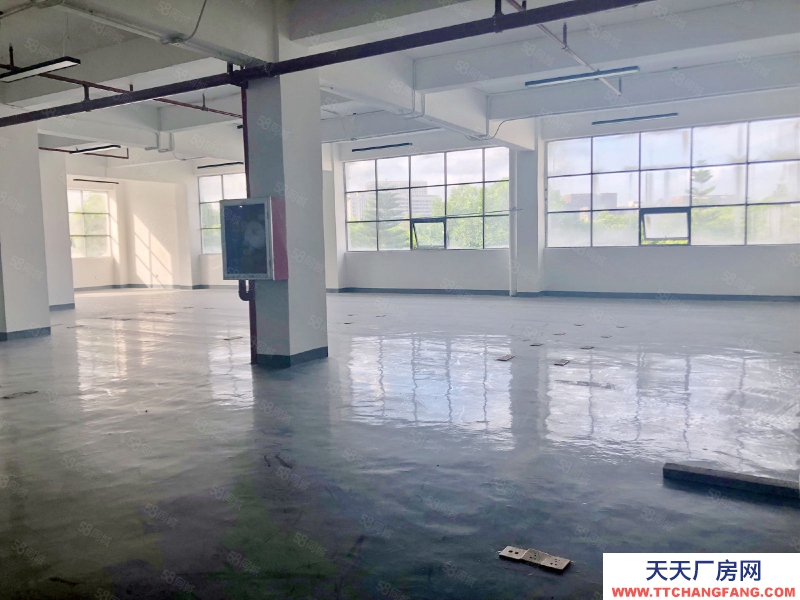 (出租) 深圳獨(dú)門獨(dú)院 整棟 3500平 南山西麗 地鐵口 一手使用率