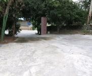 (出租) 那大倉(cāng)庫(kù)廠房出租