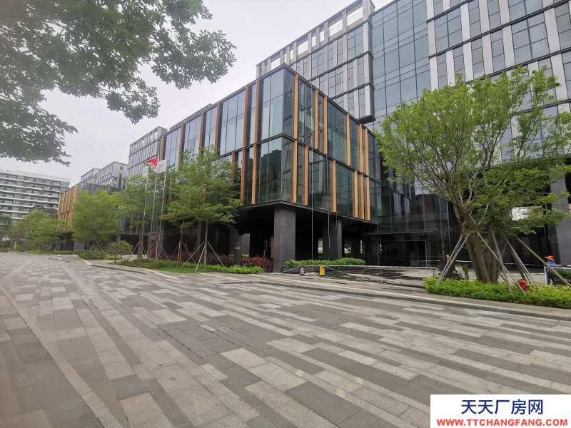 (出租) 深圳南山西麗地鐵口高新產業研發辦公1000平帶豪華裝修可分租低價