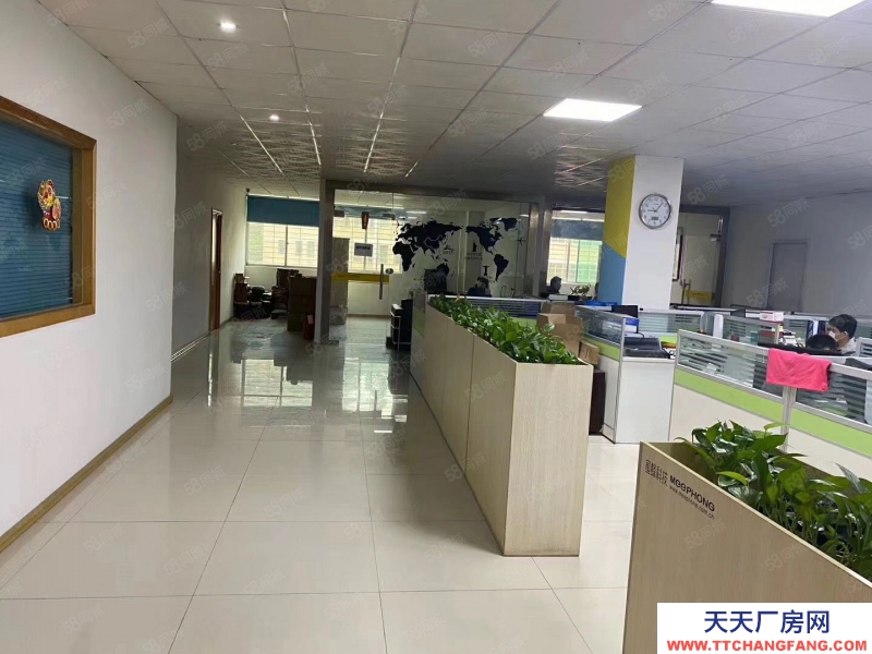 (出租) 深圳龍崗新生社區原房東紅本5000平廠房出租帶裝修超高使用