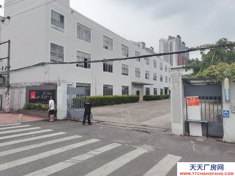 (出租) 深圳龍崗新生1000平精裝修原房東科技園獨院廠房倉庫出租！可分租