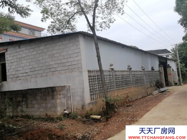 岳陽市湘陰區 廠房位于金龍鎮芙蓉大道旁，三相四線，自來水，網絡一應俱全
