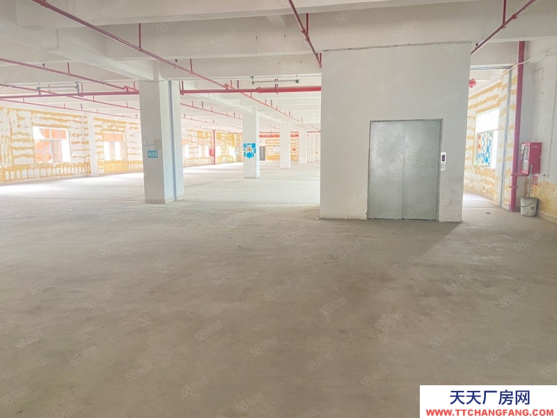 (出租) 坂田獨院獨棟2000平廠房出租 小獨棟 可分租 低價倉庫出租