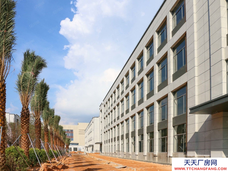 (出租) 深圳武深高速2km現(xiàn)樓園區(qū)出租 車位飯?zhí)门涮?物業(yè)管理式廠房