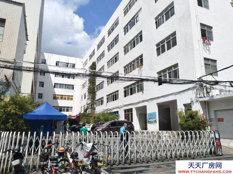 (出租) 深圳清水河關口，一樓1100平樓1500平可分租