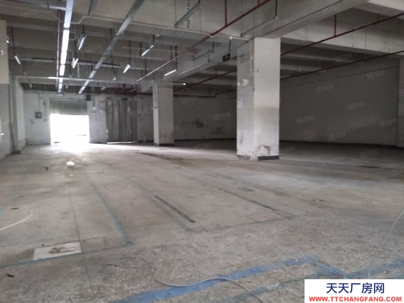 (出租) 深圳清水河關(guān)口，一樓1100平樓1500平可分租